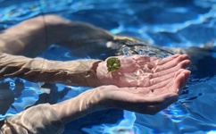 lolita张慧敏视频在线播放